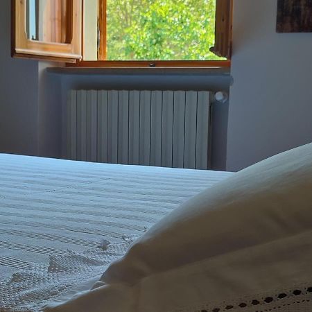 Bed And Breakfast Country Hill อาเรซโซ ภายนอก รูปภาพ