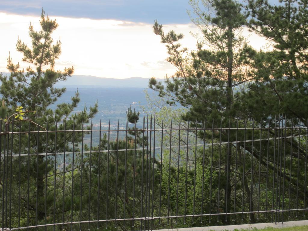 Bed And Breakfast Country Hill อาเรซโซ ภายนอก รูปภาพ